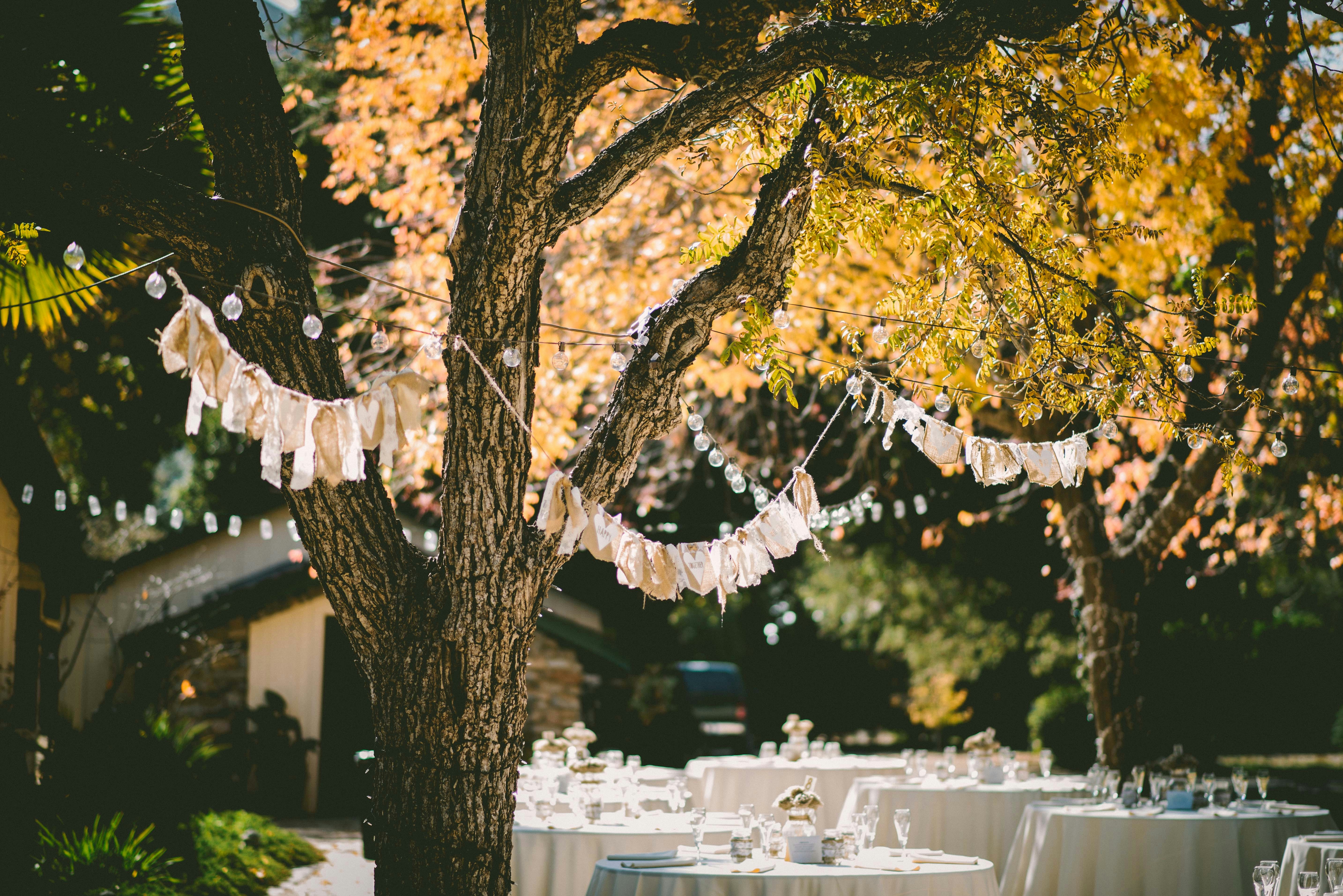 GARDEN PARTY 